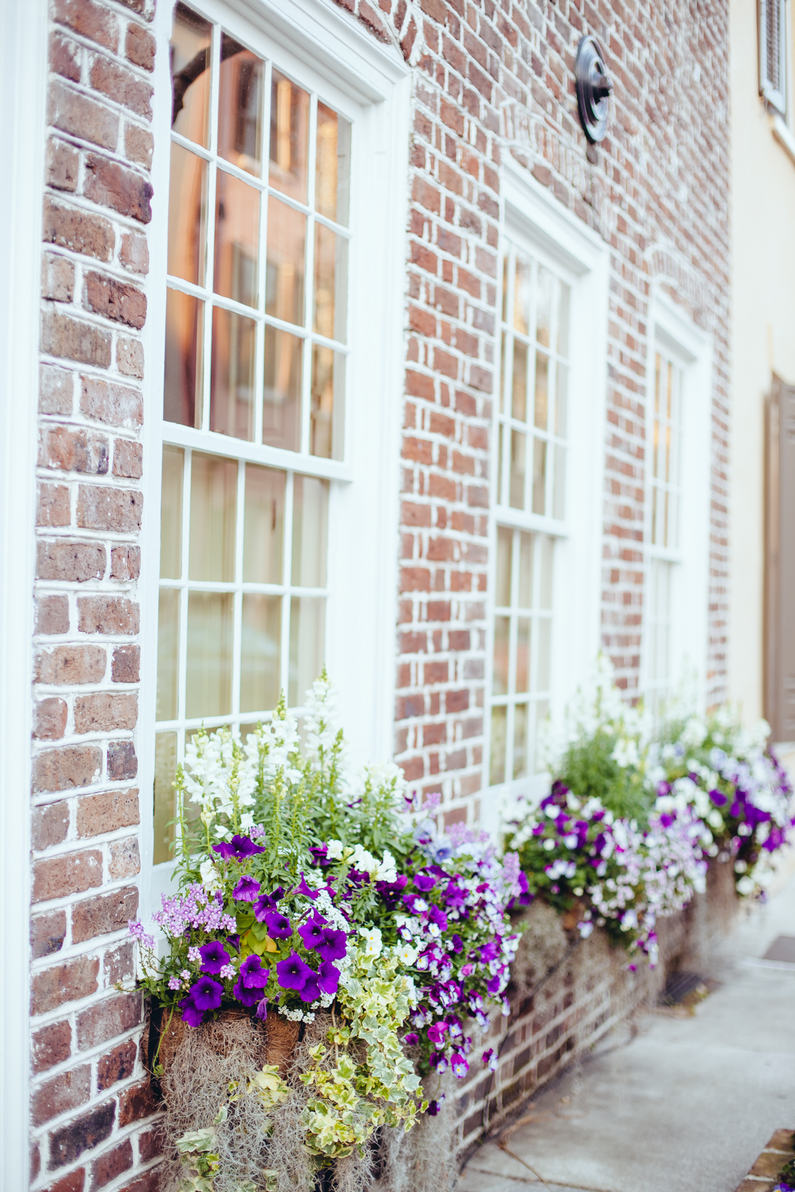 CharlestonSC_Blog-11