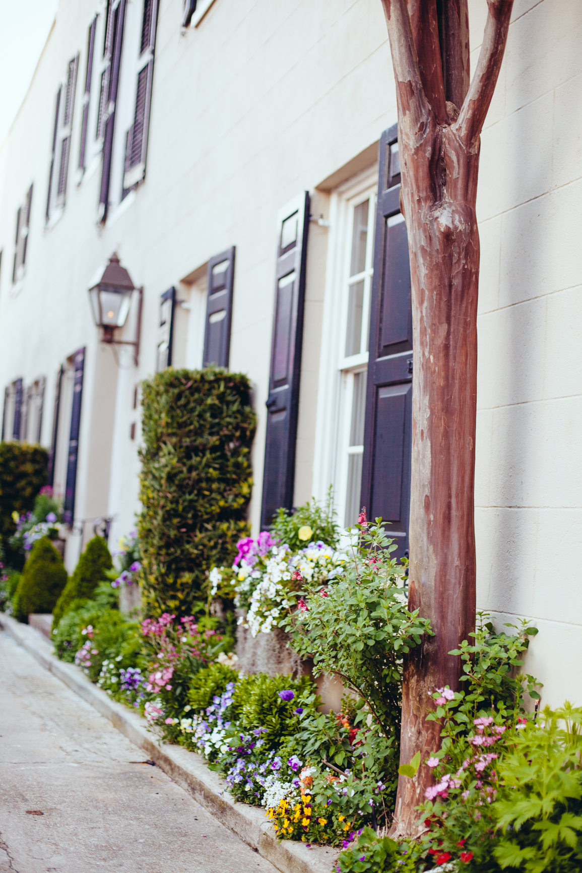 CharlestonSC_Blog-13