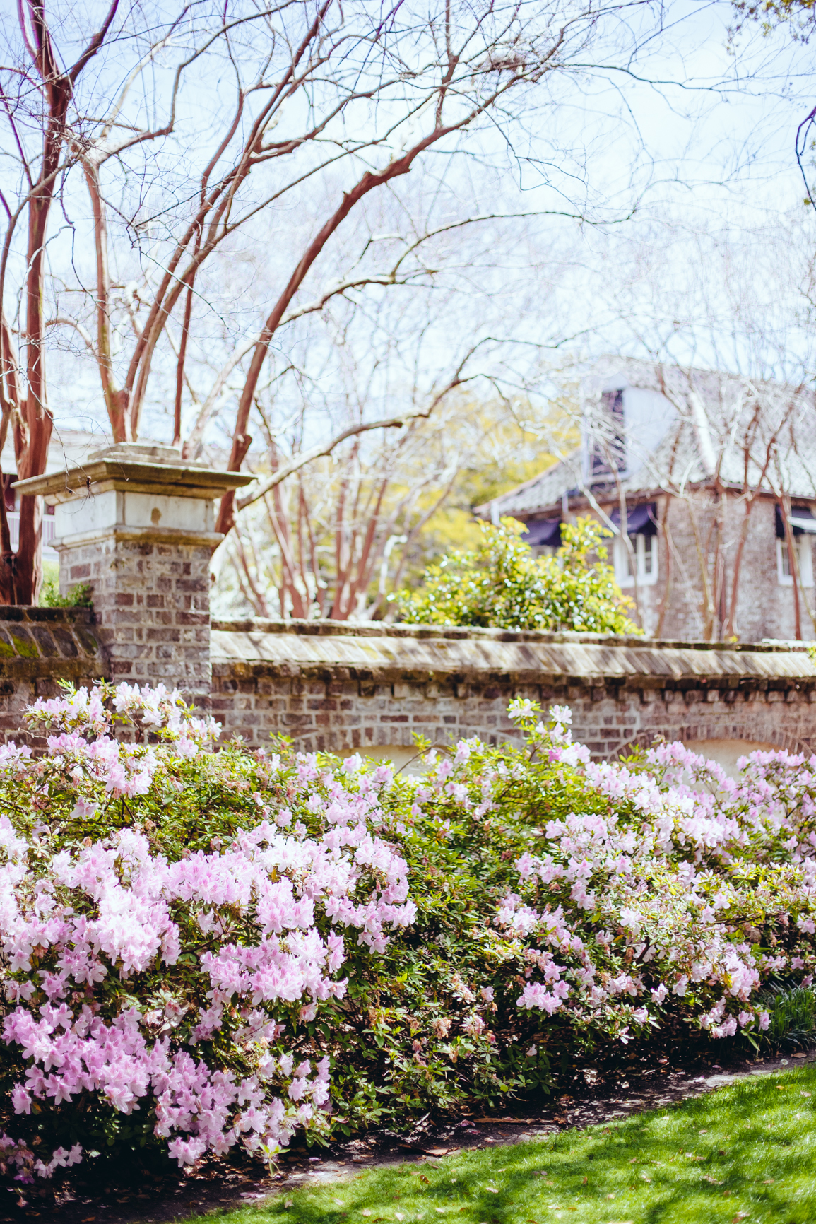 CharlestonSC_Blog-28