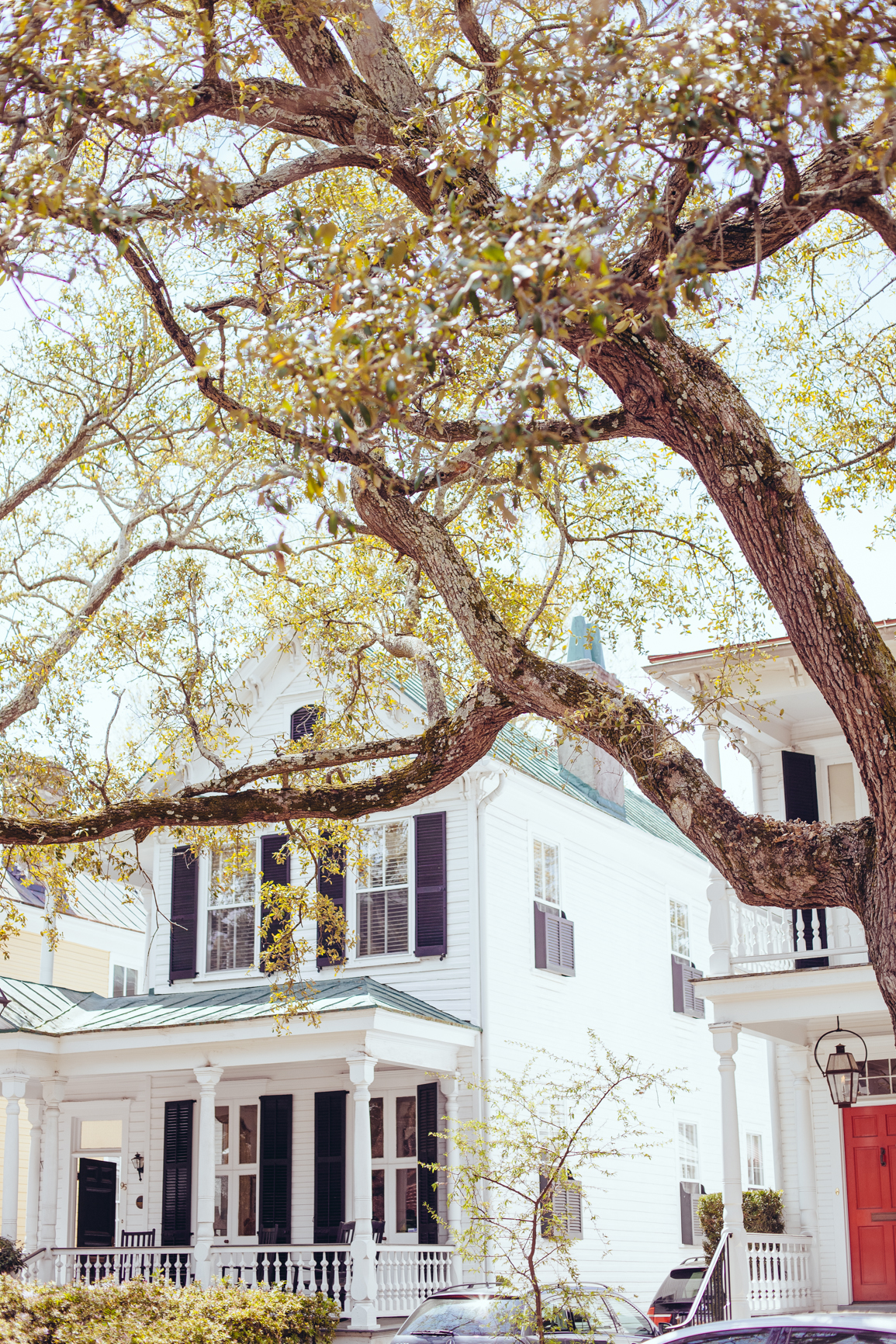 CharlestonSC_Blog-35