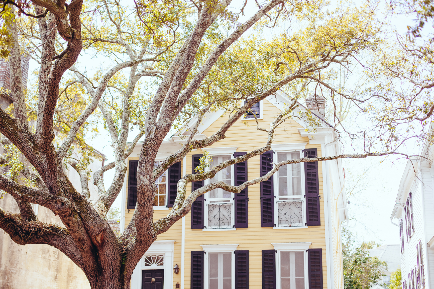 CharlestonSC_Blog-36