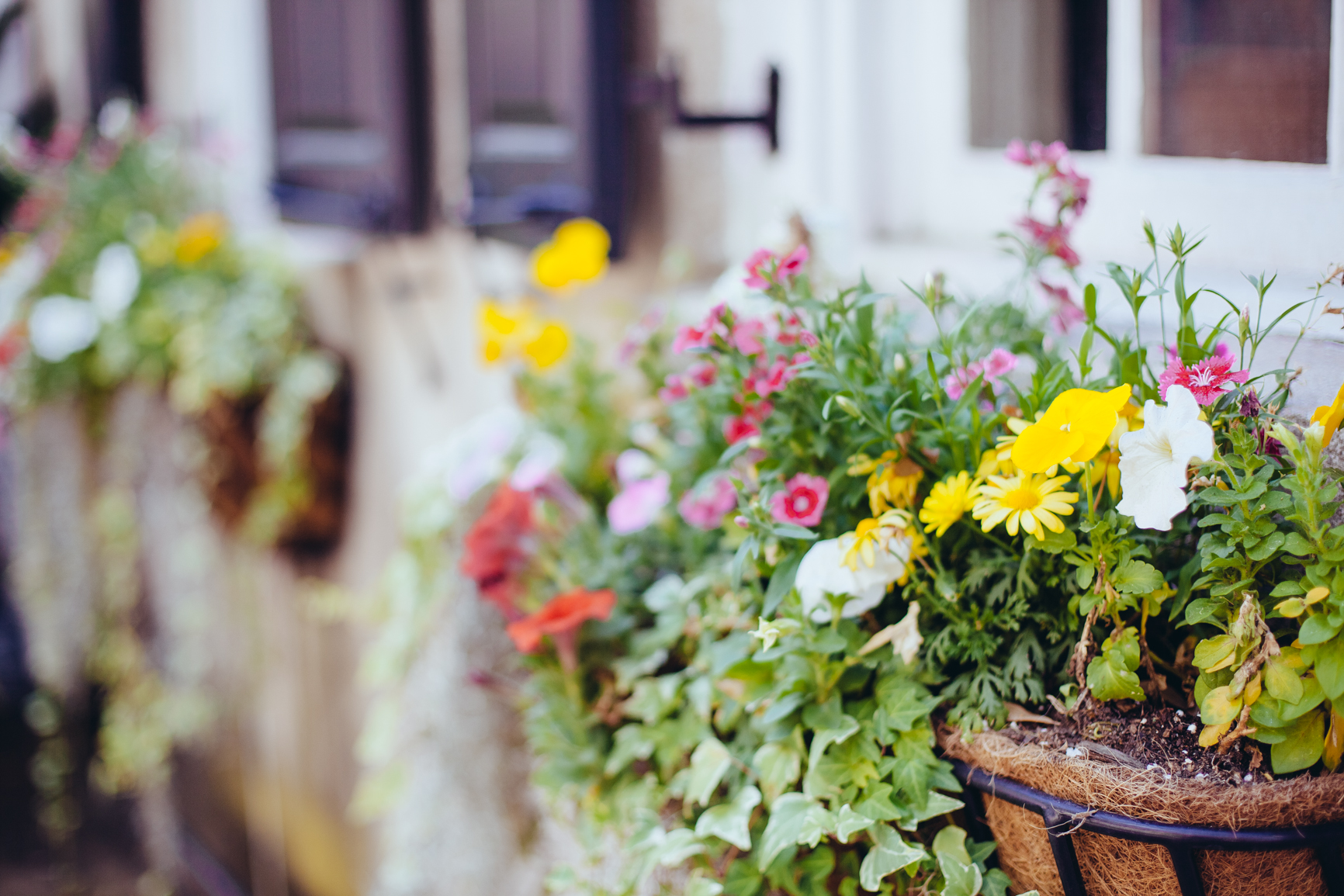 CharlestonSC_Blog-40