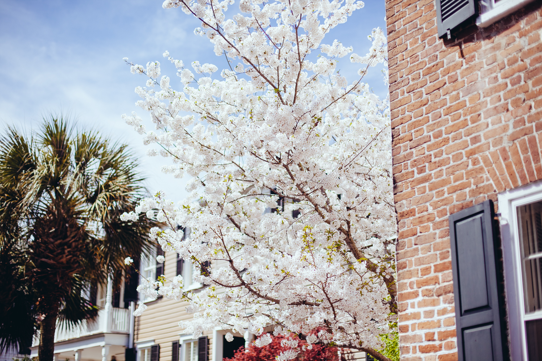 CharlestonSC_Blog-47