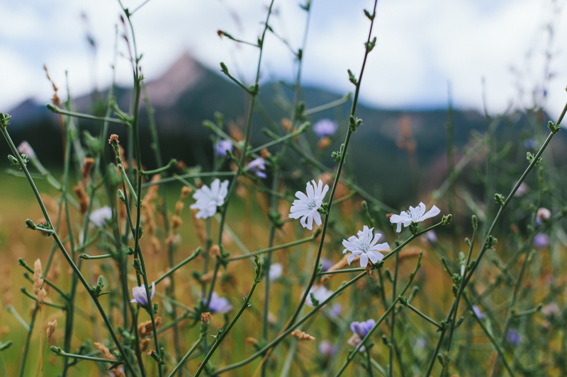 Travel photography, LA photography, Boulder Tourism, Boulder CO