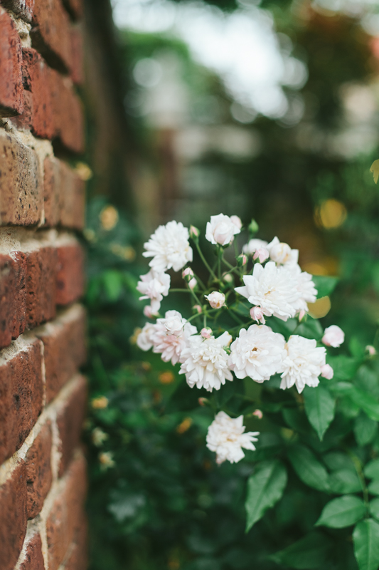 family photos, family, photography, OC photographer, OC photography