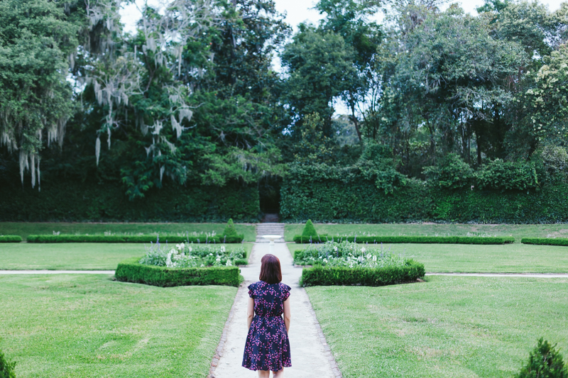 Days of Summer: Middleton Place