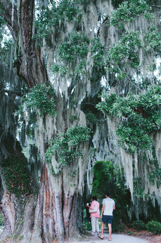 Travel photography, LA photography, tourism,