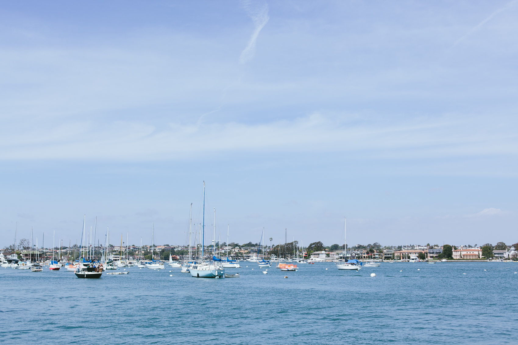 WhaleWatching_Blog-1