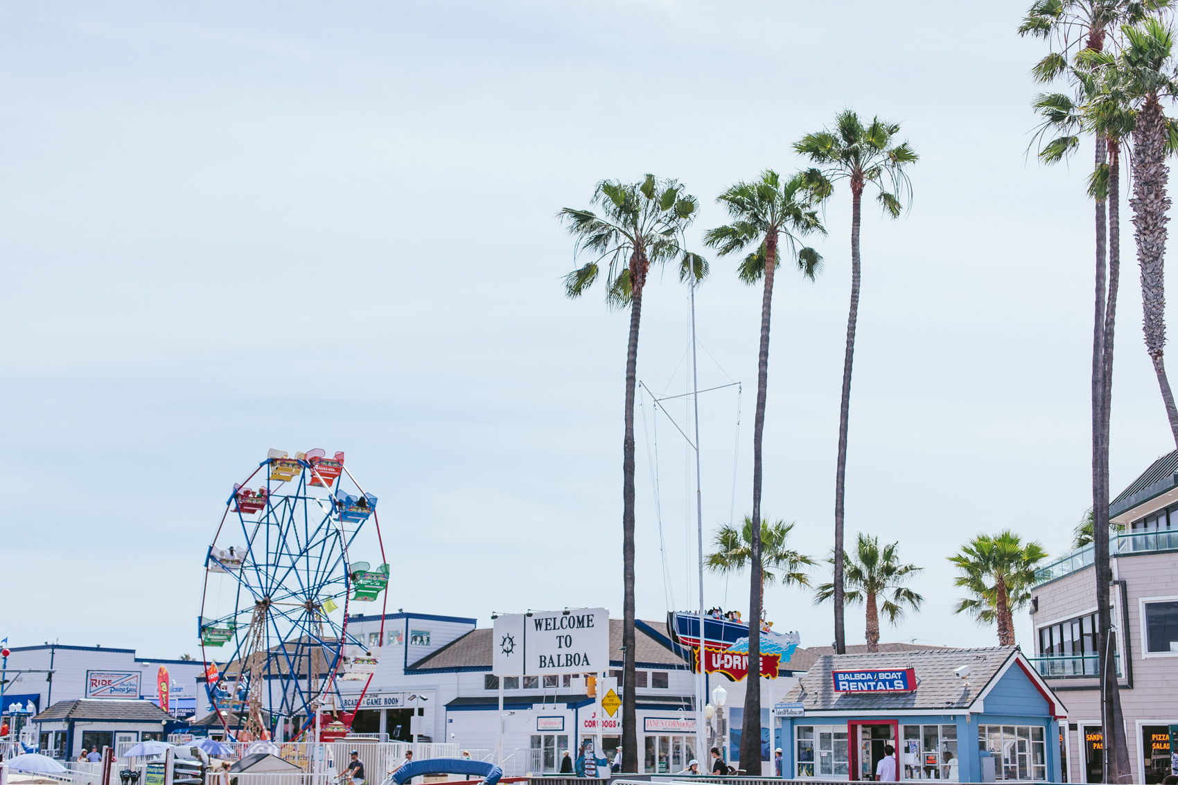 WhaleWatching_Blog-2