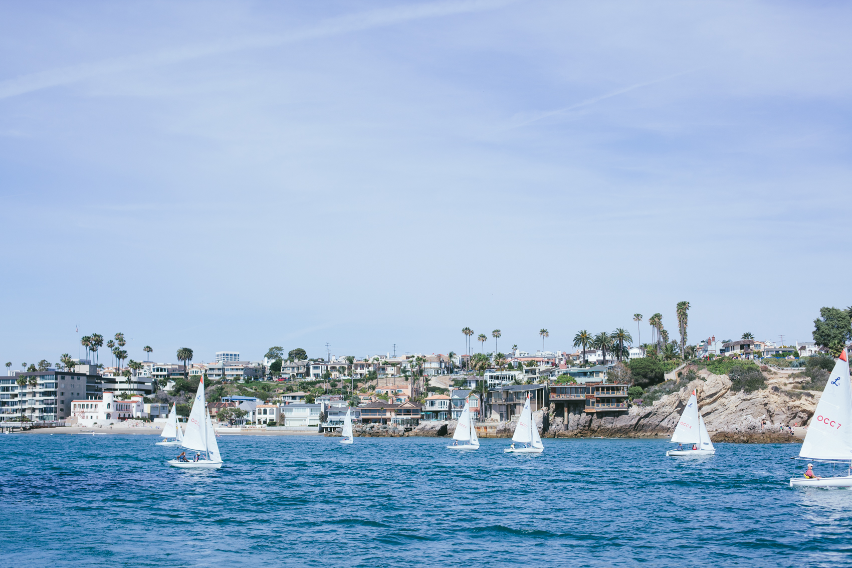 WhaleWatching_Blog-23