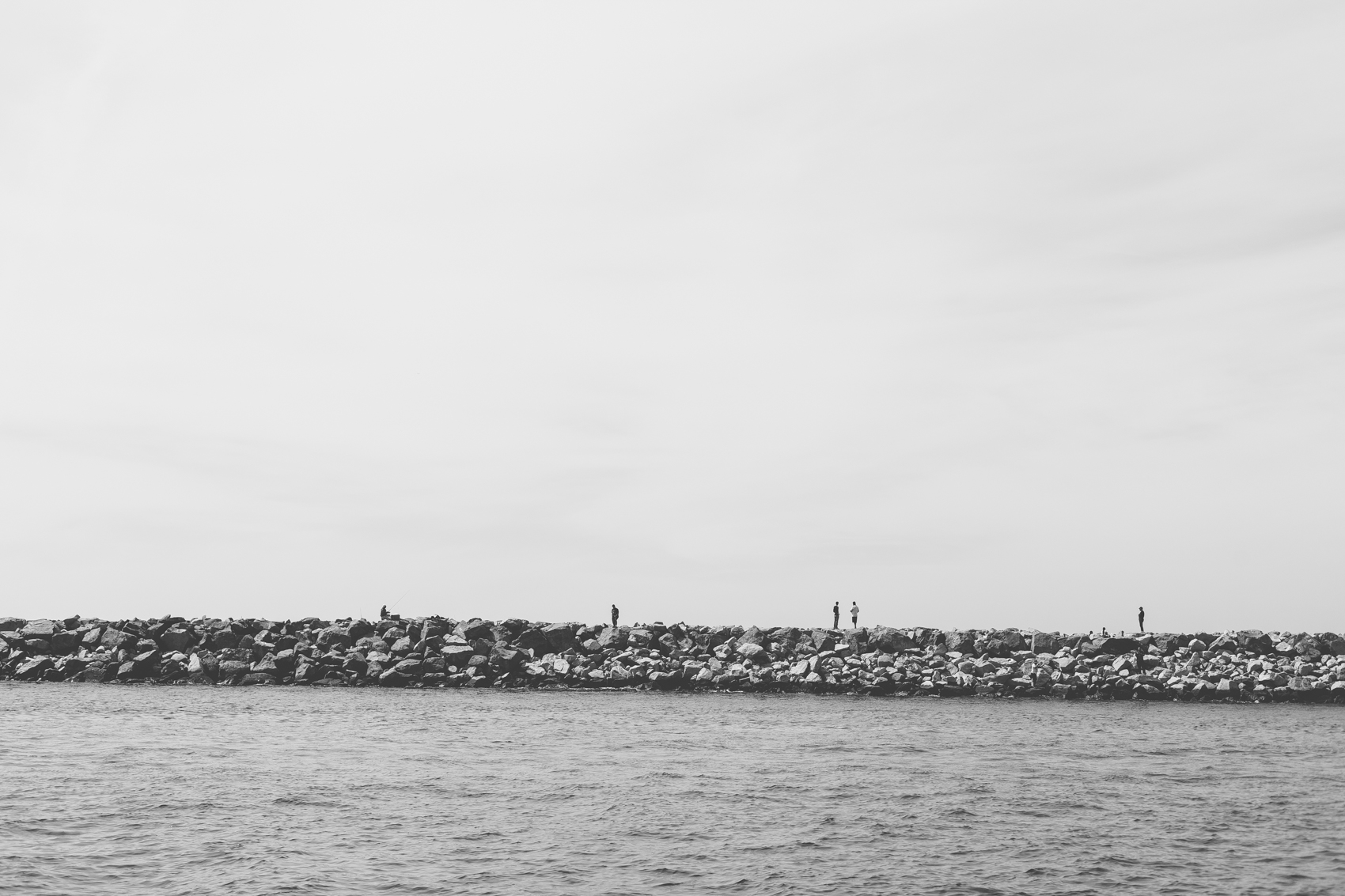 WhaleWatching_Blog-3